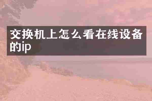 交换机上怎么看在线设备的ip
