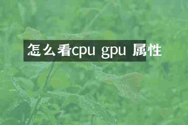 怎么看cpu gpu 属性