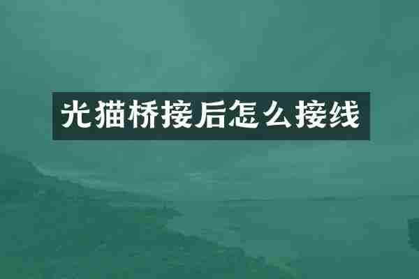 光猫桥接后怎么接线
