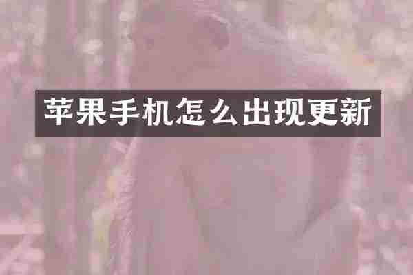 苹果手机怎么出现更新