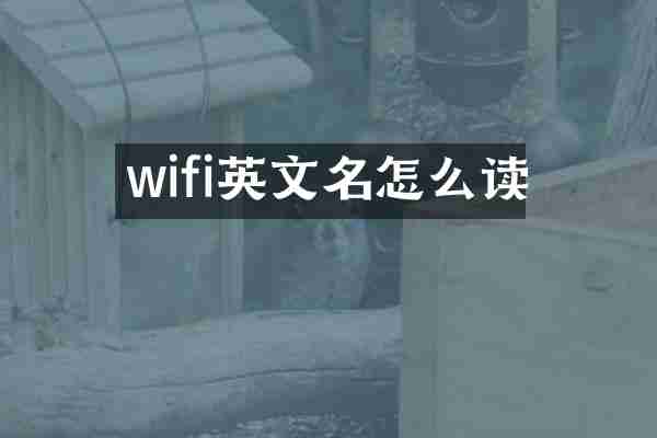 wifi英文名怎么读