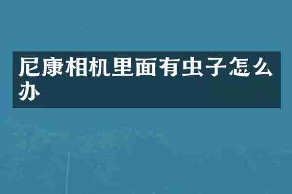 尼康相机里面有虫子怎么办