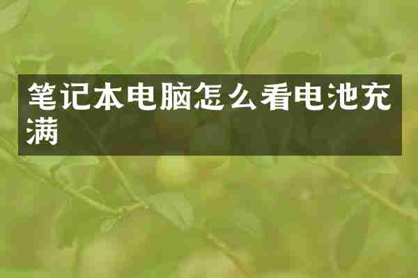 笔记本电脑怎么看电池充满
