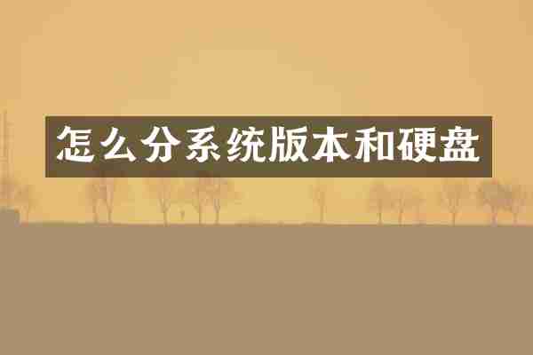 怎么分系统版本和硬盘