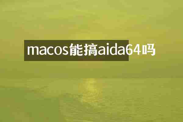 macos能搞aida64吗