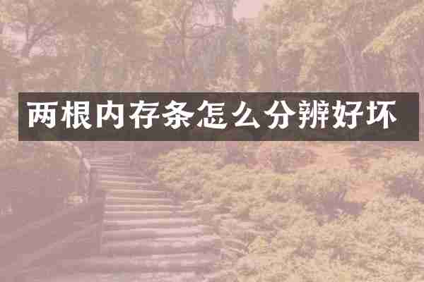 两根内存条怎么分辨好坏