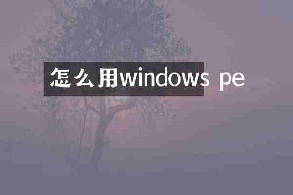 怎么用windows pe
