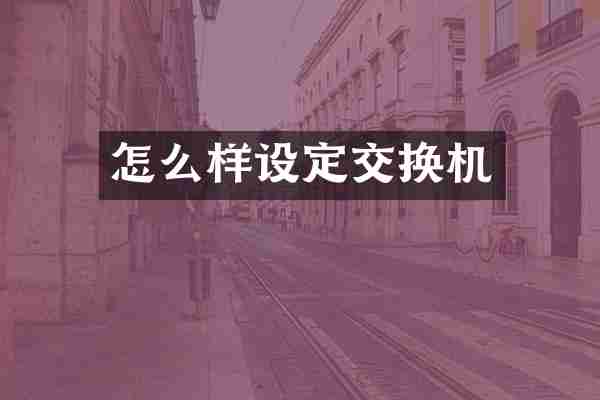 怎么样设定交换机