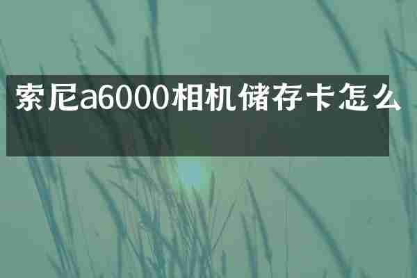 索尼a6000相机储存卡怎么取