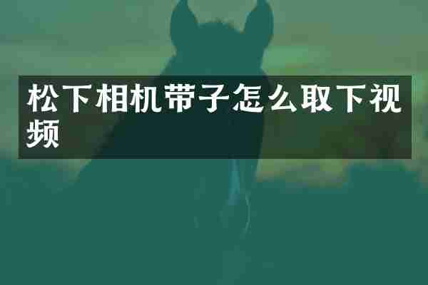 松下相机带子怎么取下视频