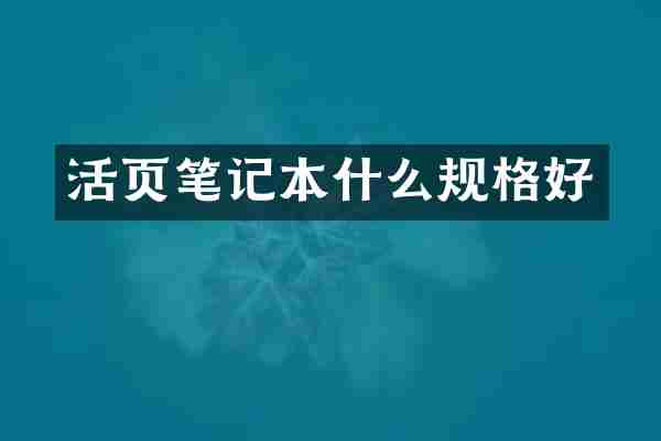 活页笔记本什么规格好