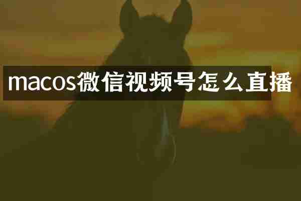 macos微信视频号怎么直播