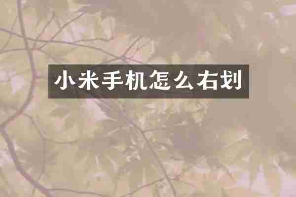 小米手机怎么右划
