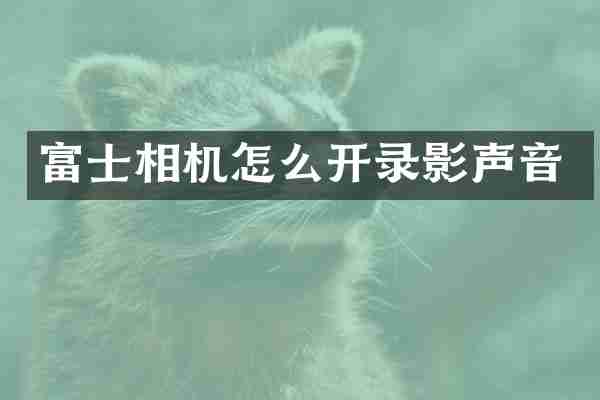 富士相机怎么开录影声音