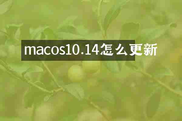 macos10.14怎么更新