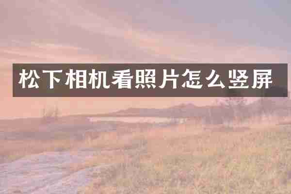 松下相机看照片怎么竖屏