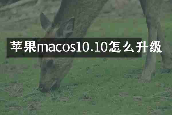 苹果macos10.10怎么升级