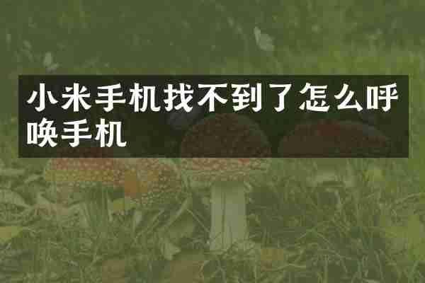 小米手机找不到了怎么呼唤手机