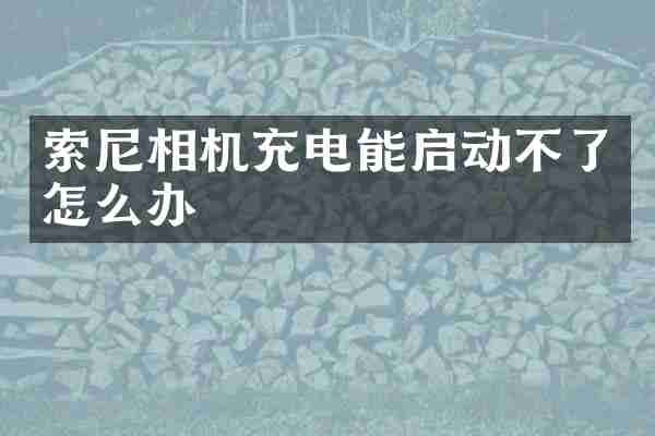 索尼相机充电能启动不了怎么办