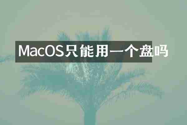 MacOS只能用一个盘吗
