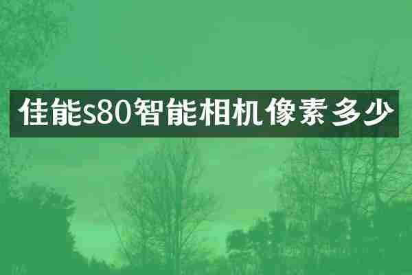 佳能s80智能相机像素多少