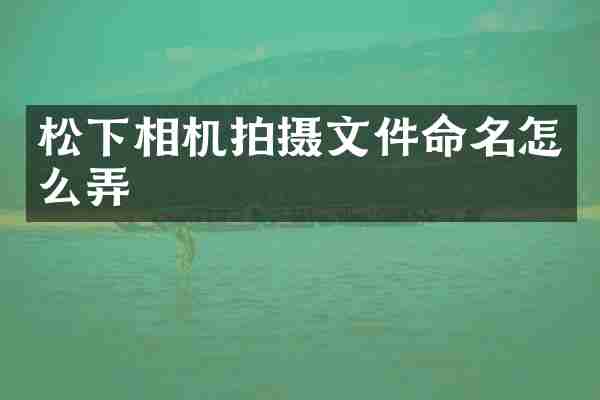 松下相机拍摄文件命名怎么弄