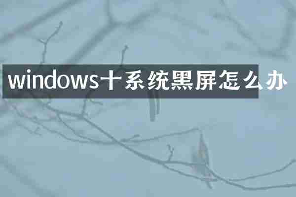 windows十系统黑屏怎么办