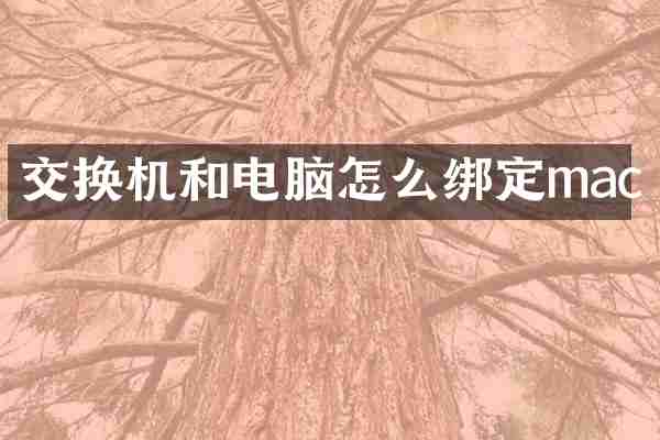 交换机和电脑怎么绑定mac