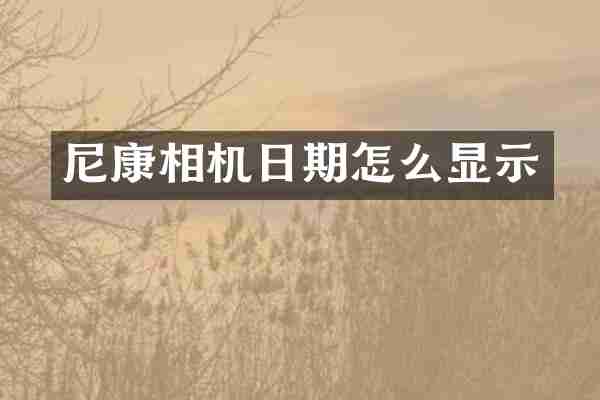 尼康相机日期怎么显示