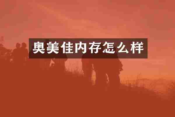奥美佳内存怎么样