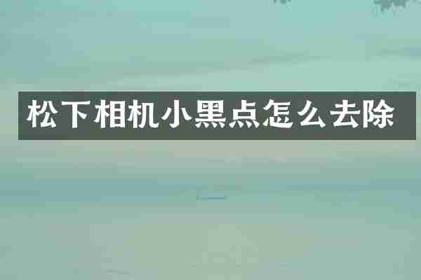 松下相机小黑点怎么去除