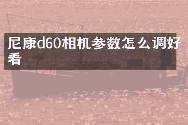 尼康d60相机参数怎么调好看
