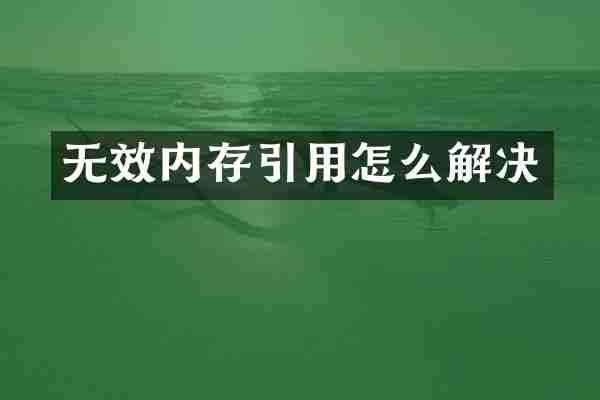 无效内存引用怎么解决