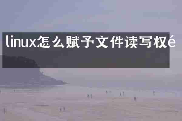 linux怎么赋予文件读写权限