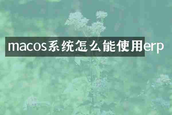 macos系统怎么能使用erp