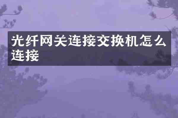 光纤网关连接交换机怎么连接