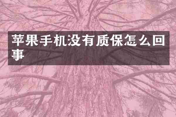 苹果手机没有质保怎么回事