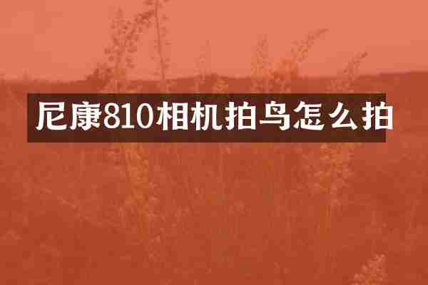 尼康810相机拍鸟怎么拍