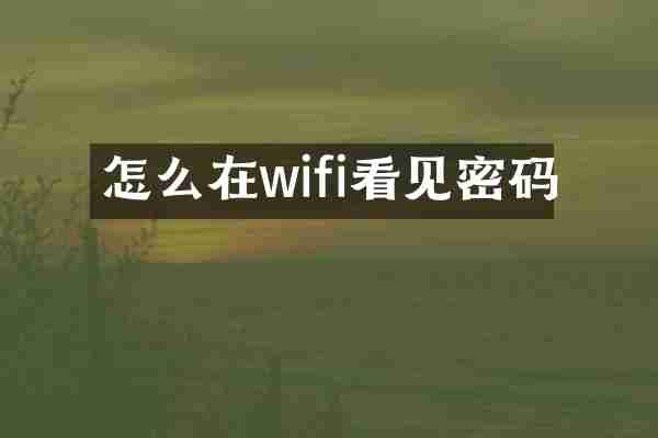 怎么在wifi看见密码