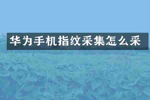 华为手机指纹采集怎么采