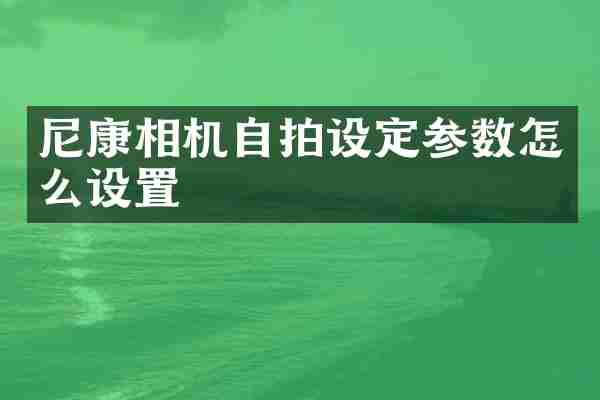 尼康相机设定参数怎么设置