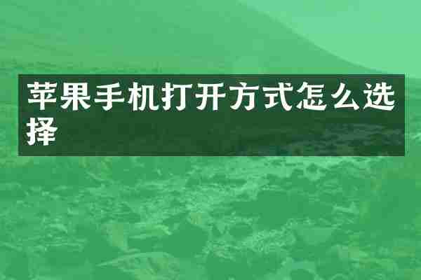 苹果手机打开方式怎么选择