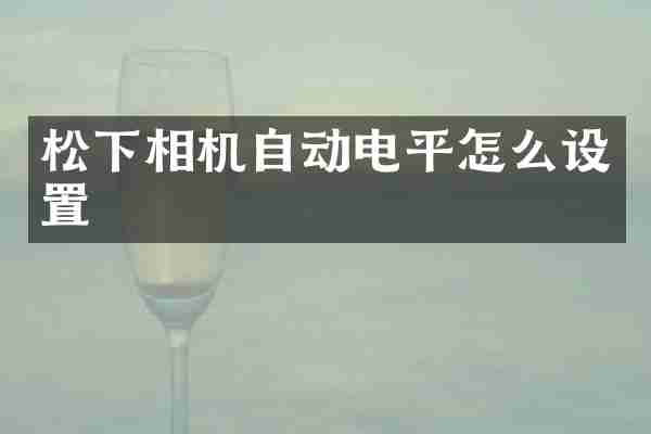 松下相机自动电平怎么设置
