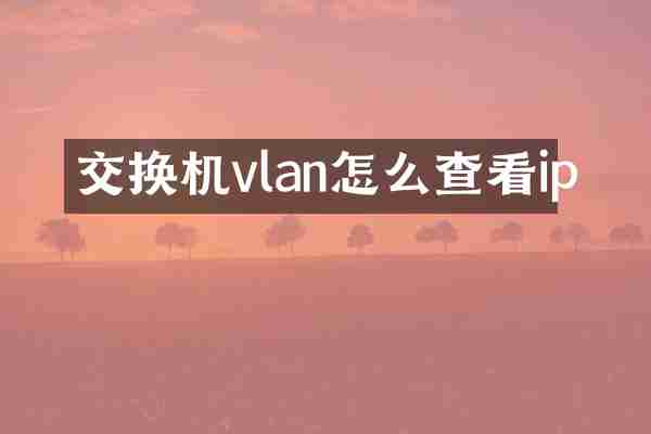 交换机vlan怎么查看ip