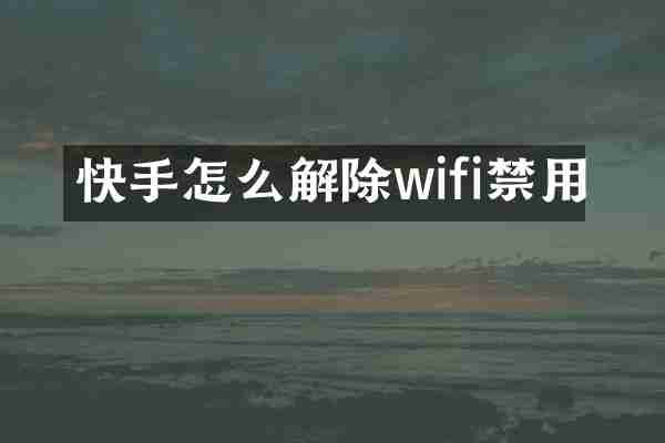 快手怎么解除wifi禁用
