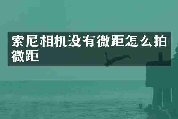 索尼相机没有微距怎么拍微距