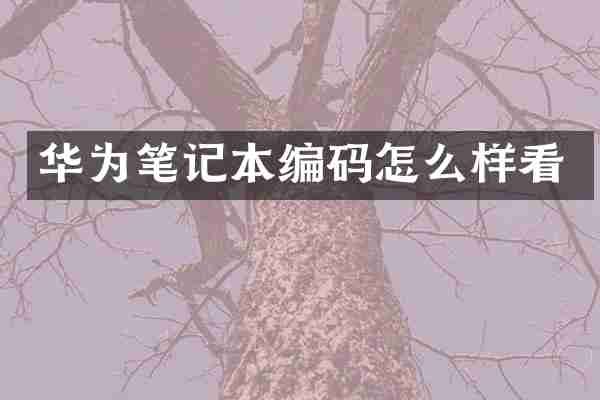华为笔记本编码怎么样看