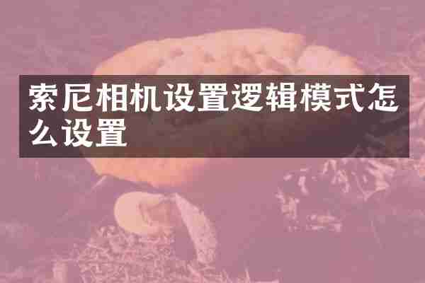 相机设置逻辑模式怎么设置