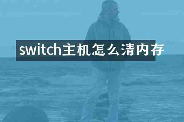 switch主机怎么清内存