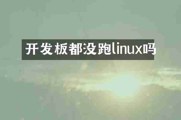 开发板都没跑linux吗